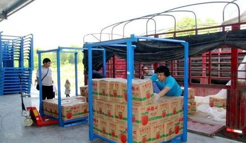 永州嘉信冷鏈倉儲物流中心正式開業，助推區域物流體系升級