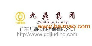 廣東九鼎投資擔(dān)保 專業(yè)投資信息咨詢引領(lǐng)財(cái)富未來